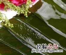 吃海带的功效和作用 吃海带的功效和作用是什么