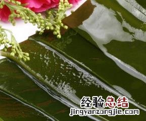 吃海带的功效和作用 吃海带的功效和作用是什么