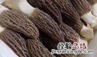 羊肚菌吃法 新鲜羊肚菌吃法怎么做