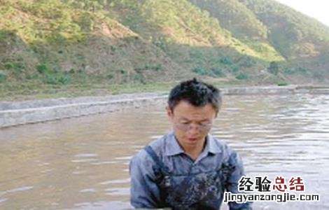 加州鲈鱼常见的养殖模式 加州鲈鱼养殖方法