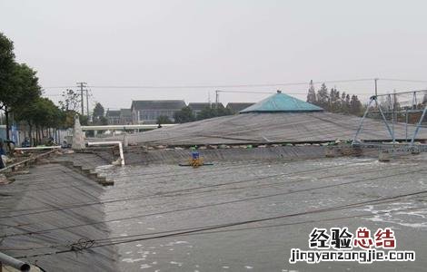 淡水鲈鱼的繁殖技术 淡水鲈鱼人工繁殖技术