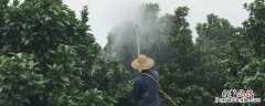 过量使用化肥农药有什么危害，农药污染的危害有哪些