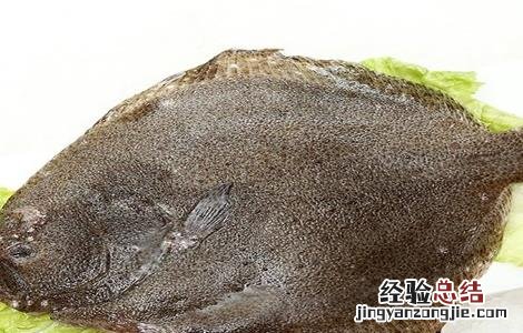多宝鱼该怎么养 多宝鱼怎么养活的时间长