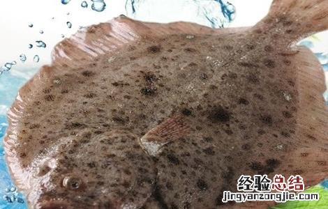 多宝鱼该怎么养 多宝鱼怎么养活的时间长