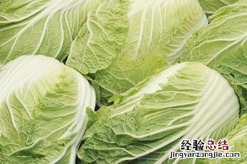 12月份农作物种什么好 12月种什么农作物