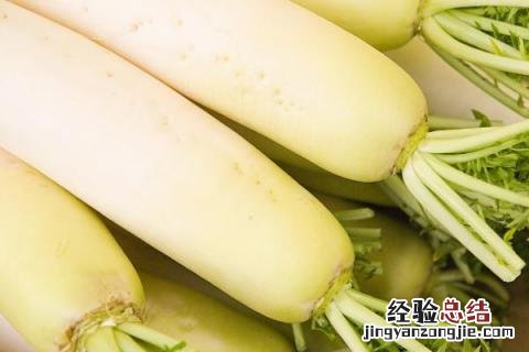 12月份农作物种什么好 12月种什么农作物