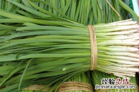 12月份农作物种什么好 12月种什么农作物