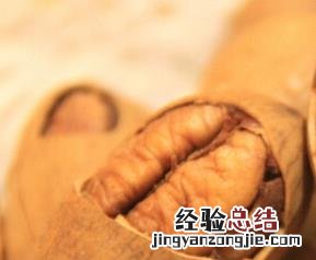 长寿果的功效与作用 水果长寿果的功效与作用