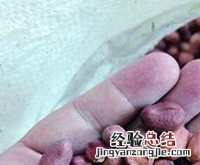 花生发霉怎么办 花生生霉了怎么办