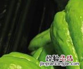 佛手瓜怎么吃好 佛手瓜怎么吃好处多