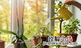 分子内呼吸的名词解释 什么叫无氧呼吸
