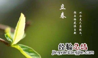 立春那天应该吃什么 立春那天应该吃什么菜