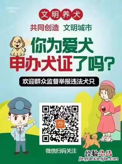 聊城开发区养狗重点管理区域范围是在哪?