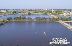 鳜鱼的人工养殖方法 鳜鱼的人工养殖方法和技术