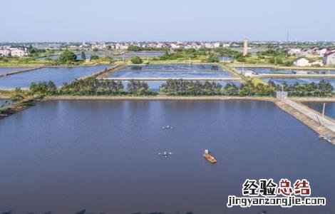 鳜鱼的人工养殖方法 鳜鱼的人工养殖方法和技术