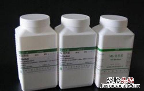 牛血清白蛋白溶液 牛血清白蛋白