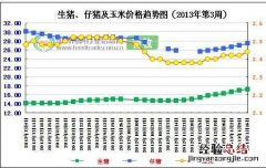 2013年第3周生猪、仔猪及玉米价格分析走势图