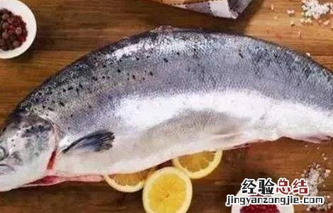 虹鳟鱼的养殖技术及条件 养殖虹鳟鱼的注意事项