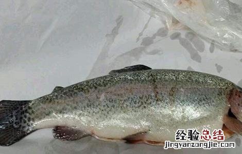 虹鳟鱼的养殖技术及条件 养殖虹鳟鱼的注意事项