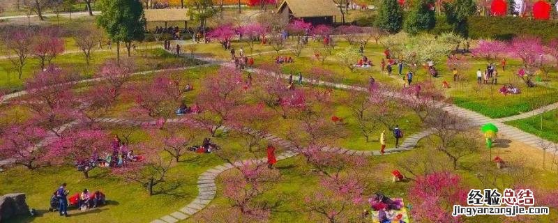 休闲度假农业包括,需要满足的条件有哪些