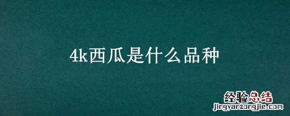 西瓜品种甘美4K 4k西瓜是什么品种