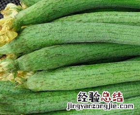 丝瓜的功效 丝瓜的功效与作用的功能与主治与用量