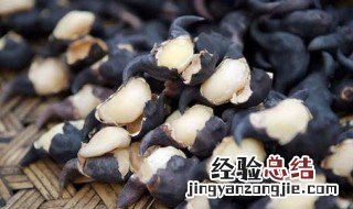 老菱角怎么剥整个肉 老菱角怎么剥整个
