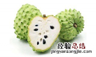 释迦和番荔枝一样吗 番荔枝和释迦的区别
