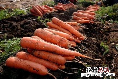 在农村办一个小型加工厂,加工什么比较好? 适合在农村做的小型加工厂