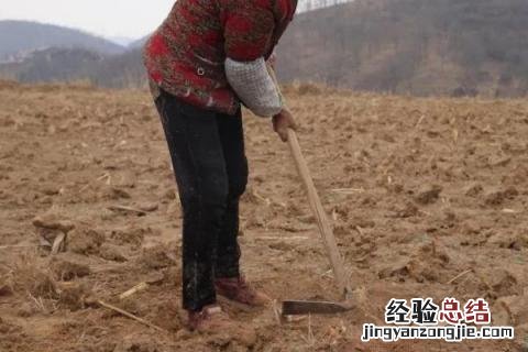 种地用的工具图片名称 种地用的工具名称
