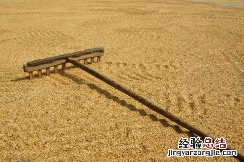 种地用的工具图片名称 种地用的工具名称