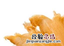黄鱼胶和红鱼胶的区别是什么 鳘鱼胶与黄鱼胶的区别