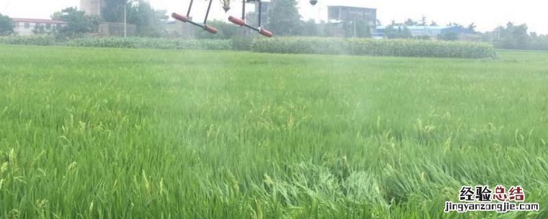 0一7度能打除草剂吗,最低温度是多少 最低零下几度不能打除草剂