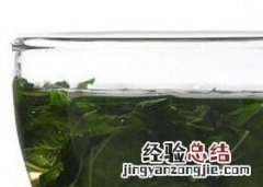桑叶茶的泡法与功效窍门 桑叶茶的泡法与功效