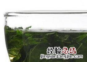 桑叶茶的泡法与功效窍门 桑叶茶的泡法与功效