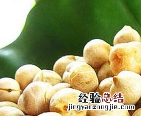 鹰嘴豆怎么吃好? 鹰嘴豆怎么吃好