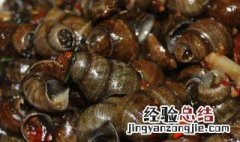 怎样把田螺肉取出 怎样把田螺肉取出来煮