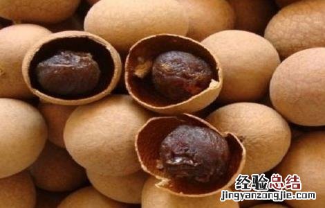 龙眼最新高产种植技术 龙眼最新高产种植技术视频
