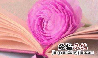 对高考学子的祝福短语 给高考学生的祝福语