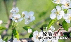今日立春朋友圈早安简短说说大全 今日立春朋友圈早安简短说说
