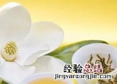 多喝金银花茶的坏处 金银花茶喝多了有什么坏处