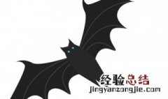 蝙组词两个字的词 蝙组词两个字