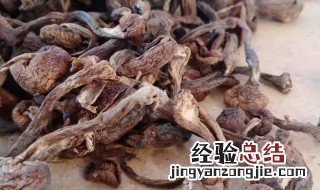 榛蘑的功效与作用 榛蘑的功效与作用及食用方法