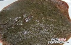 2018年多宝鱼多少钱一斤及市场前景 多宝鱼市场价格多少钱一斤