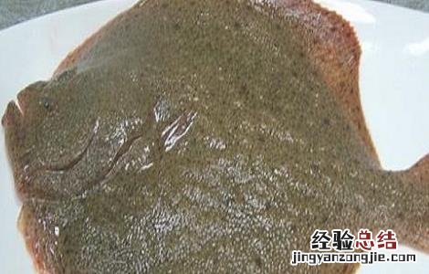 2018年多宝鱼多少钱一斤及市场前景 多宝鱼市场价格多少钱一斤