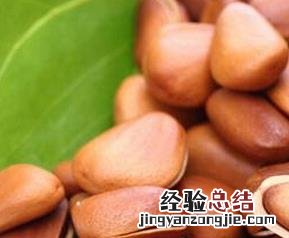 松仁的功效与作用 松仁的功效与作用及营养价值