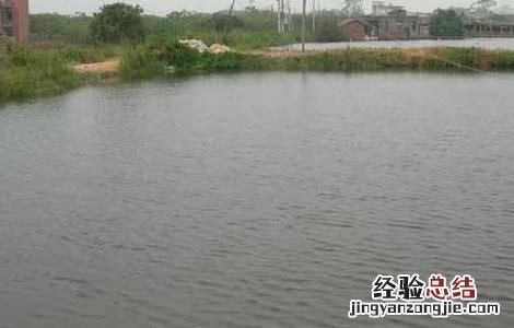 冬季低温鱼塘管理要点和措施 冬季低温鱼塘管理要点