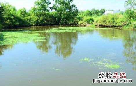 冬季低温鱼塘管理要点和措施 冬季低温鱼塘管理要点