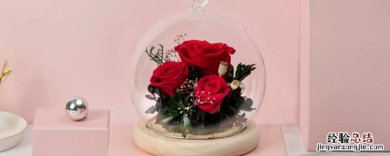 永生花是皂花吗 永生花和香皂花有什么区别