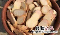 鸡爪芋的功效与作用 鸡爪芋的功效与作用价格